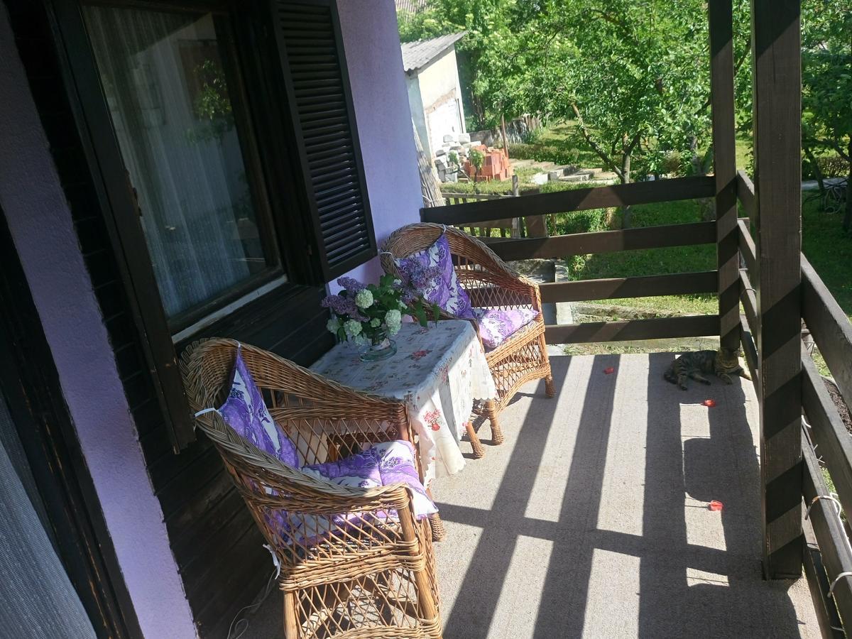 Apartmani Jankovic 维尔蒂尼克 外观 照片