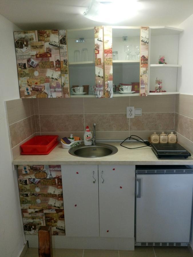 Apartmani Jankovic 维尔蒂尼克 外观 照片