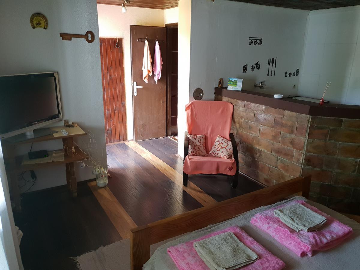 Apartmani Jankovic 维尔蒂尼克 外观 照片