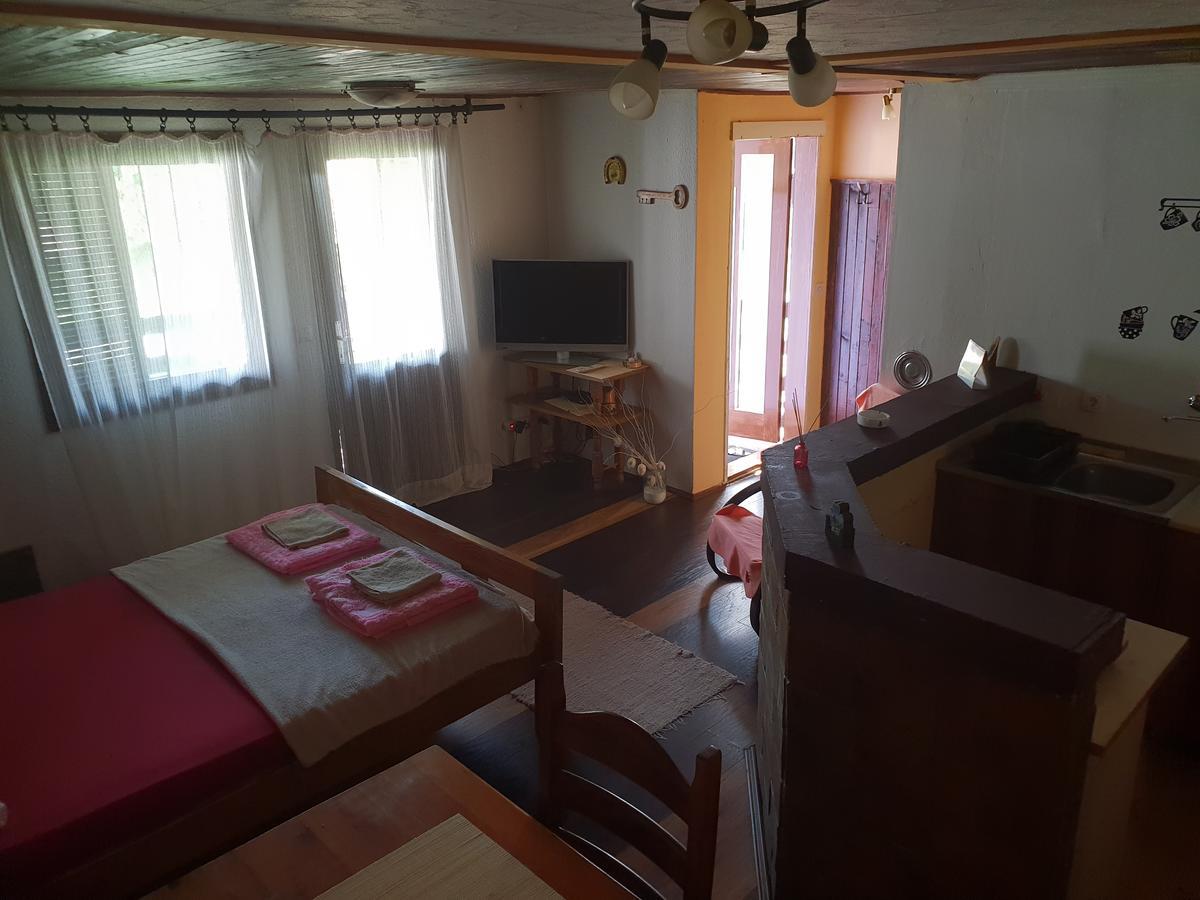 Apartmani Jankovic 维尔蒂尼克 外观 照片