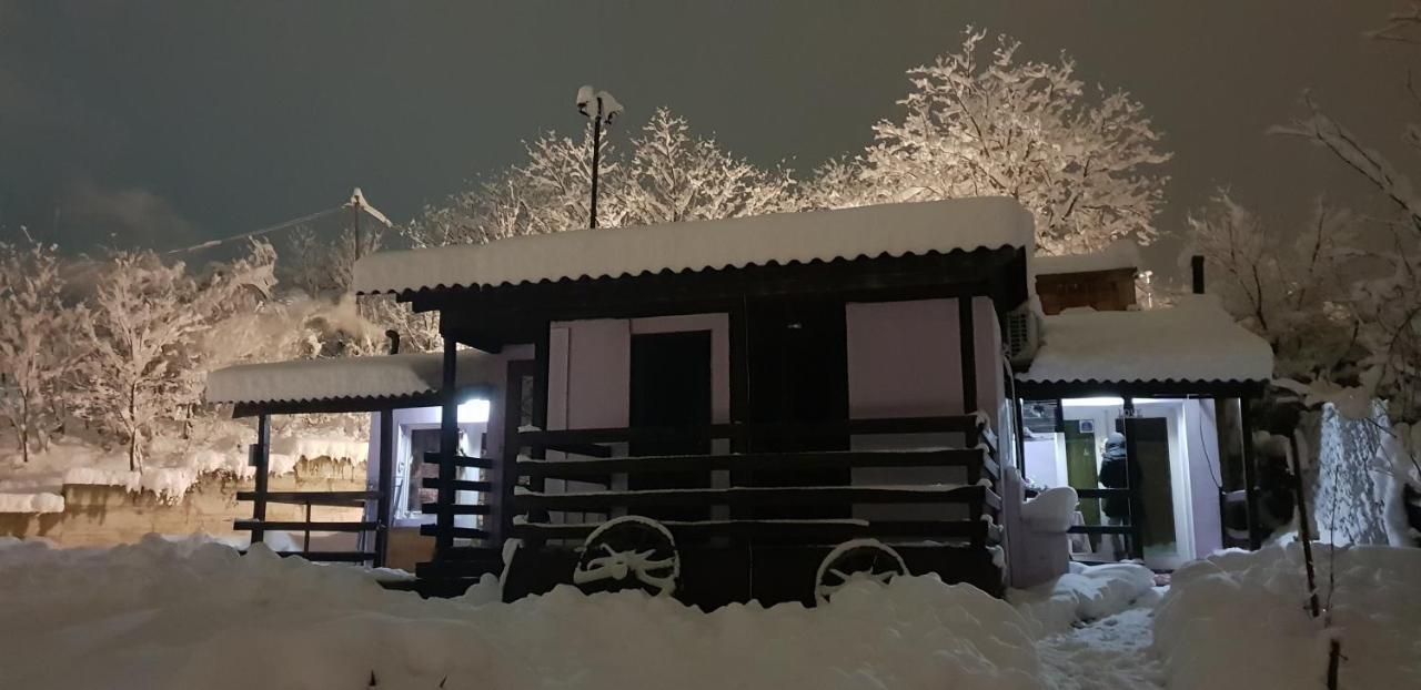 Apartmani Jankovic 维尔蒂尼克 外观 照片